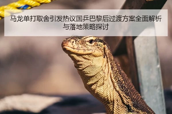 马龙单打取舍引发热议国乒巴黎后过渡方案全面解析与落地策略探讨