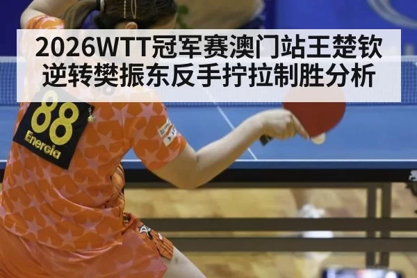 2026WTT冠军赛澳门站王楚钦逆转樊振东反手拧拉制胜分析 - bandaotiyu