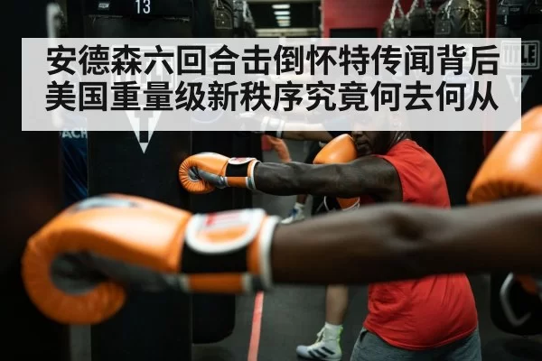 安德森六回合击倒怀特传闻背后 美国重量级新秩序究竟何去何从（bandaotiyu）